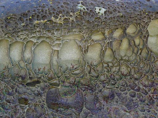Ford's Cove - conglomerate.jpg - Conglomerate along the shore, Ford's Cove, Horby Island
